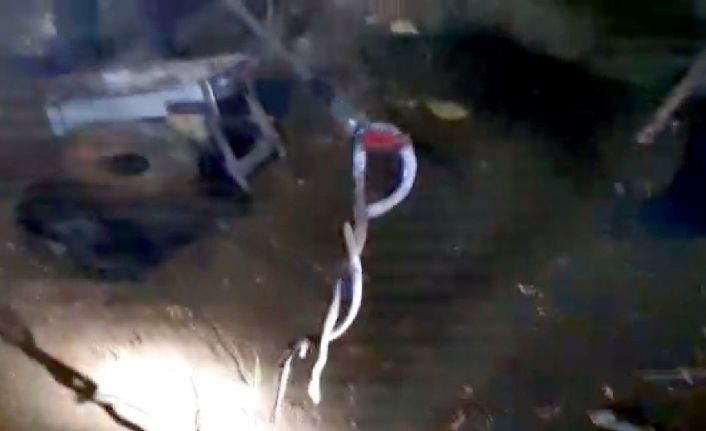 Adıyaman’da yılan avı