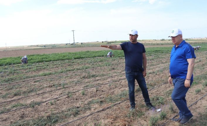 Ergene Belediyesi yetiştirdiği ürünleri dar gelirlilerle paylaşacak