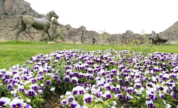 Festival alanı çiçeklerle donatılıyor