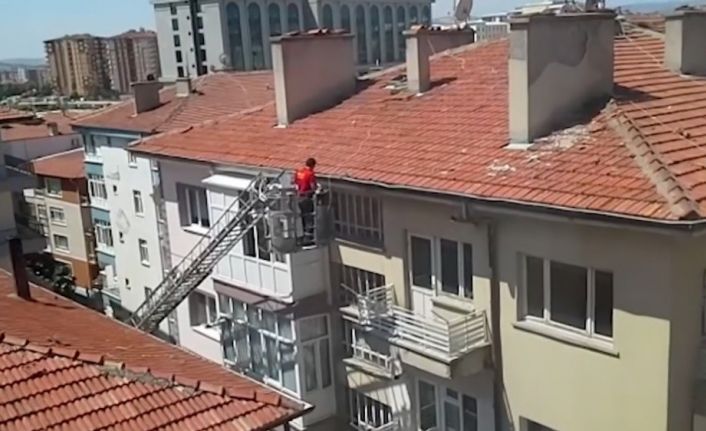 İtfaiye ekipleri güvercin ve yavru köpeğin imdadına koştu