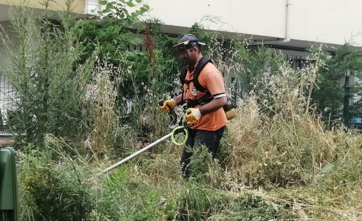 Körfez’de çevre çalışmaları devam ediyor