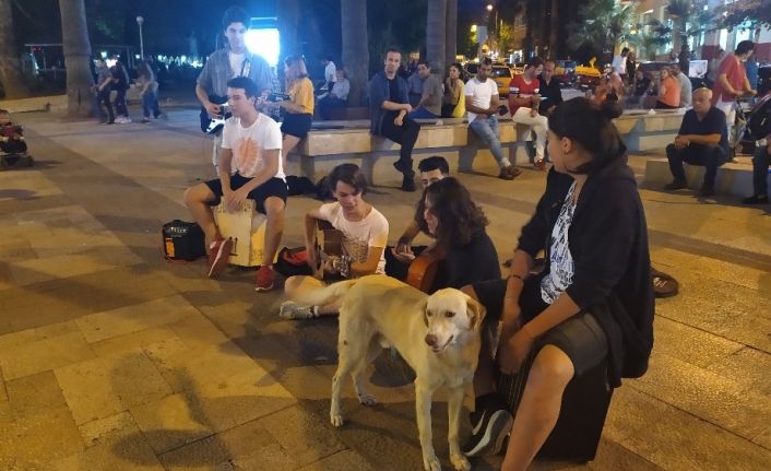 Liselilerden elektrogitarla sokak konseri