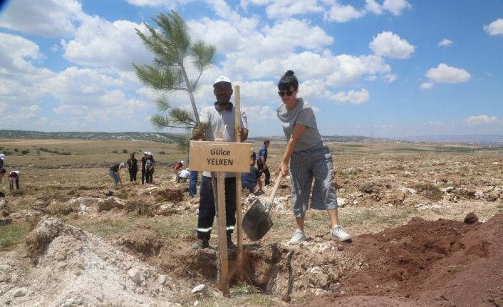 Odunpazarı bir orman daha kazandı