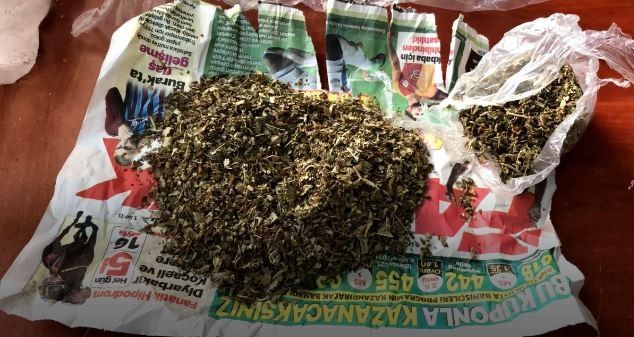 Ordu’da uyuşturucu operasyonu: 6 tutuklama