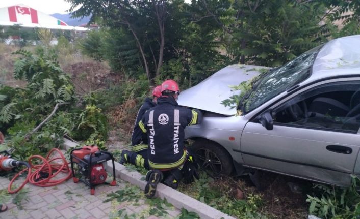 Refüje uçan otomobil ağaçları yerinden söktü: 1 yaralı