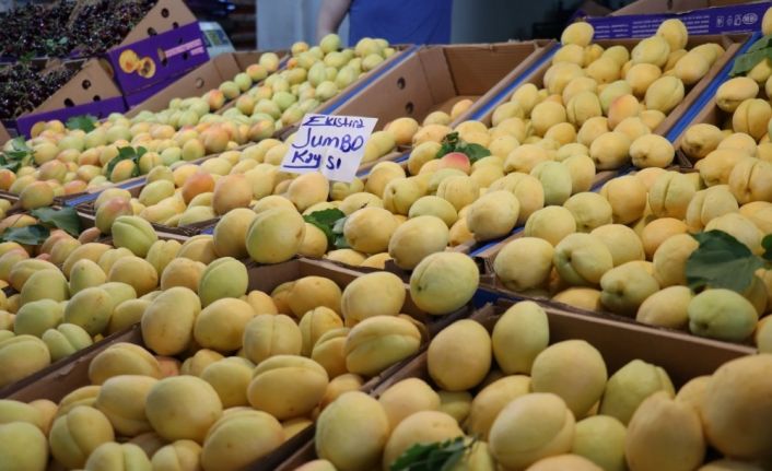 ‘Sarı altın’ tezgaha indi