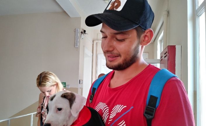 Sarıyer’de bir seçmen yavru köpeği ile oy kullandı