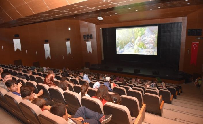 Taşköprü Belediyesi Yaz Sinema Günleri başladı