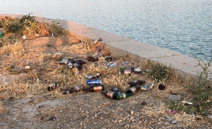 Vatandaşlardan piknik alanındaki içki şişelerine tepki