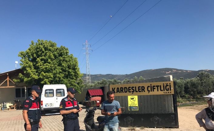 178 timle 24 saatlik huzur uygulaması