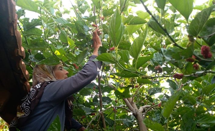 30 yıldır üretip satıyor