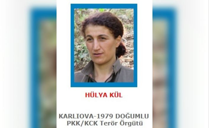 Bingöl’de 8 terörist etkisiz hale getirildi, 2’si ödüllü listede çıktı