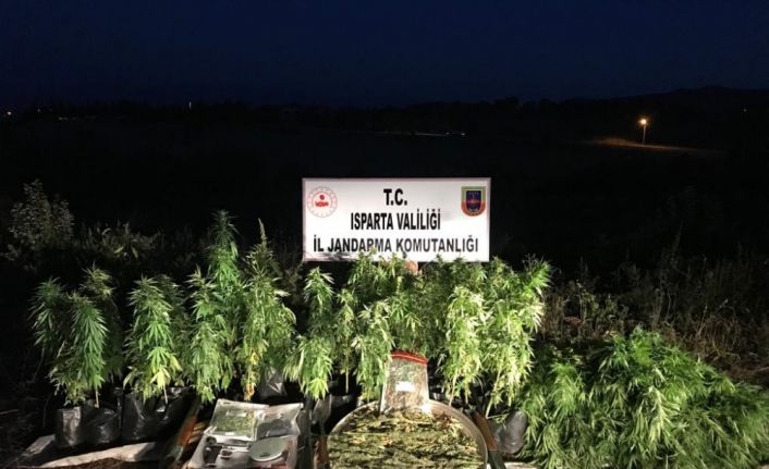 Bu kadarı da ‘Pes’ dedirtti, ormanlık alanda poşet saksıda seyyar uyuşturucu yetiştiriciliği