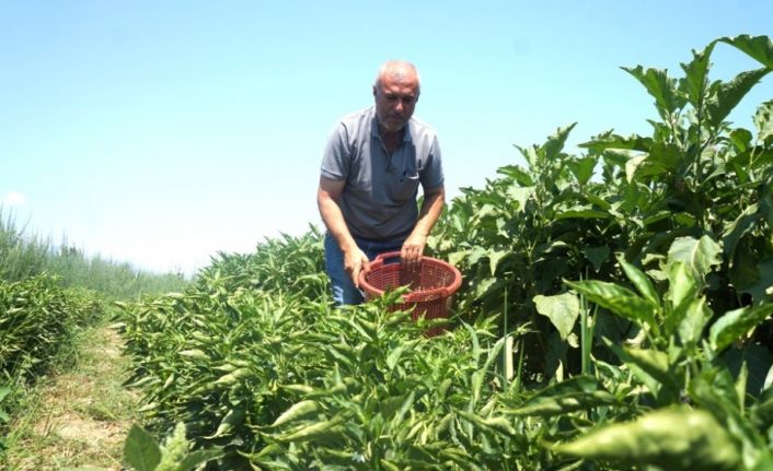 Emekli oldu self servis bahçe işine girdi