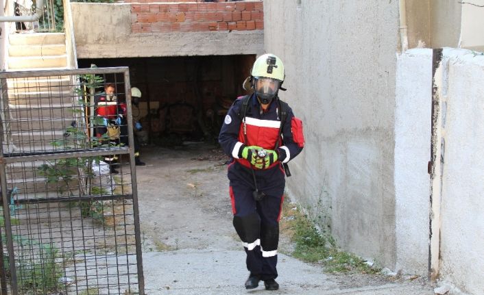 Güne ceset kokusu ile uyandılar