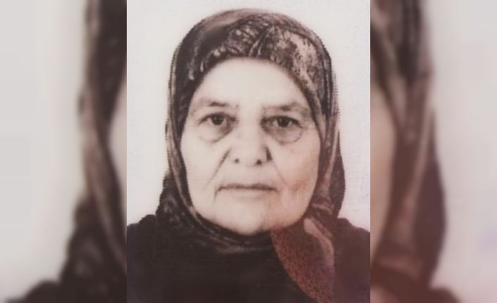 Hastaneye hasta ziyaretine giderken kazada öldü