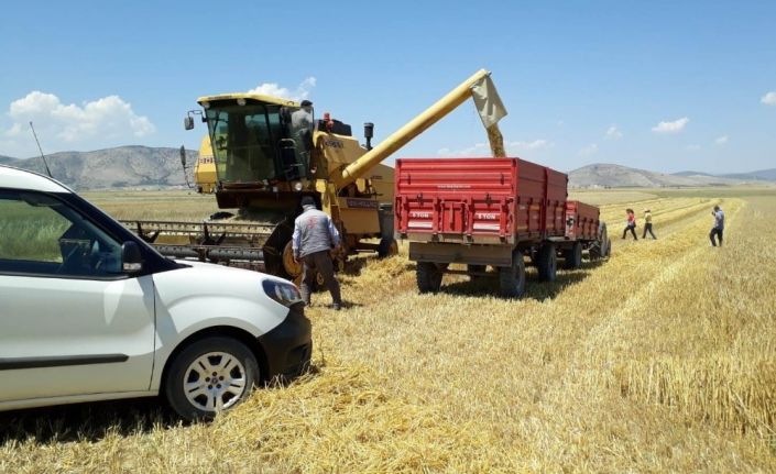 ’Hububat Timleri’ iş başında, fazla dane kaybını önleyerek, biçerdöver ihlallerine yaptırım uygulayacaklar