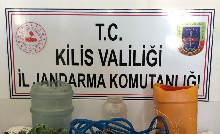 Kilis’te kenevir operasyonu