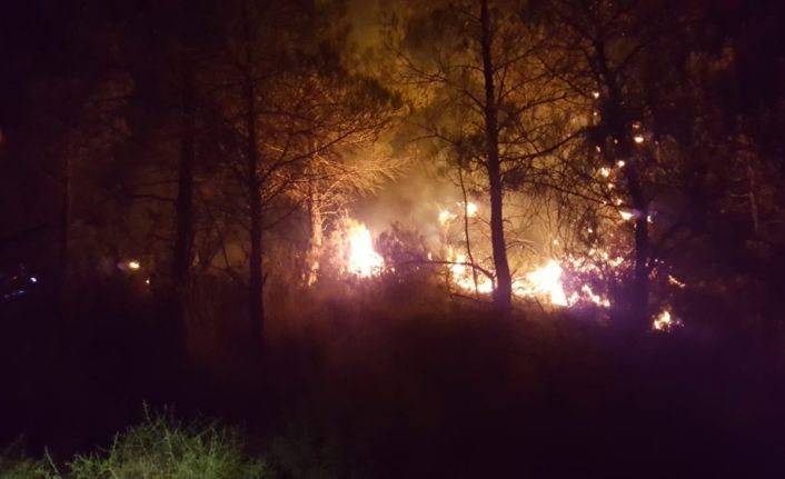 Manavgat’ta çıkan iki ayrı yangında, 2 hektarlık alan zarar gördü