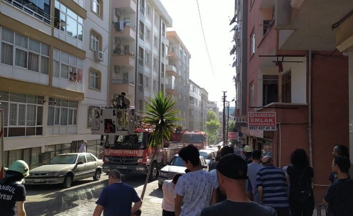 (Özel) İtfaiye aracından damlayan su ile serinleyen sevimli güvercin ilgi odağı oldu