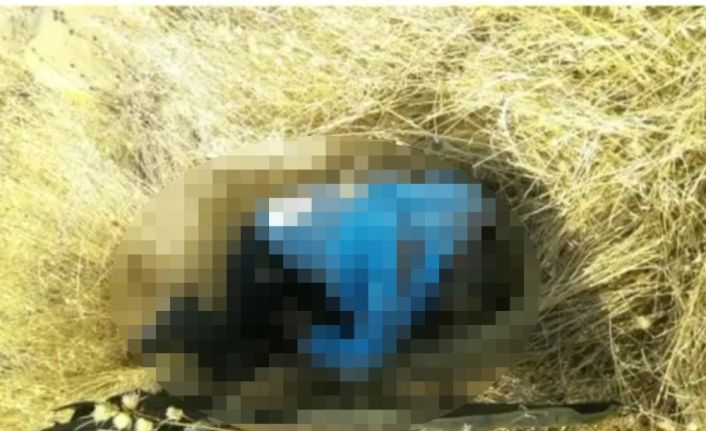 Şanlıurfa’da trafik kazası: 1 ölü, 1 yaralı