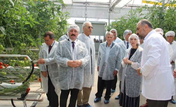 Türkiye’nin fabrika baca atığı ile ısıtılan ilk modern serası hizmete açıldı