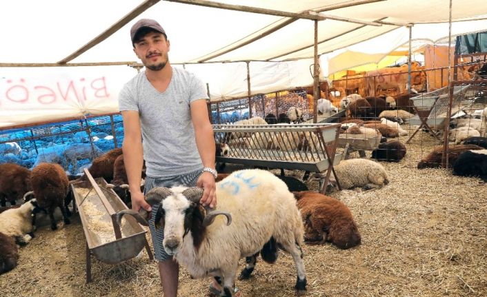 Bayraklı’da Kurban Bayramı hazırlıkları tamam