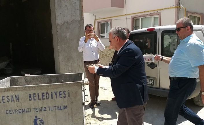 Beton dökülen mama kapları kaldırıldı