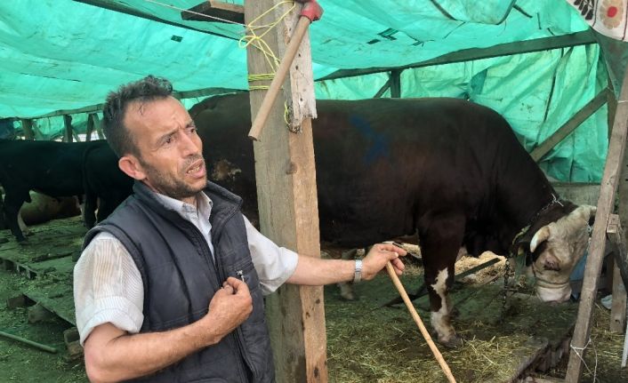 Çorlu Kurban Pazarının Paşası 25 bin TL’ye satıldı