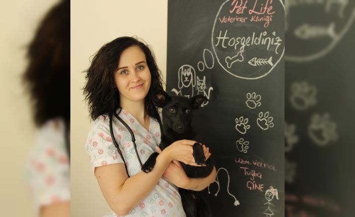 Evcil hayvanları için öğle saatlerine dikkat