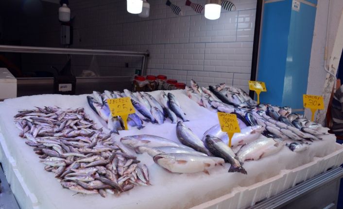 Karadeniz’de balıkçılar sezonu iple çekiyor