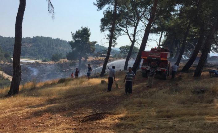 Kaş’ta anız yangını