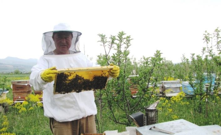 Kütahya’da geçen yıl 236 ton bal üretildi