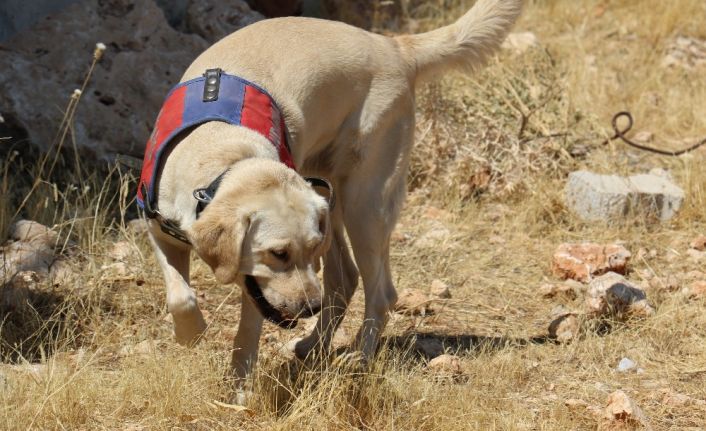 Onlar Kıran-2 operasyonunda teröristlerin korkulu rüyası