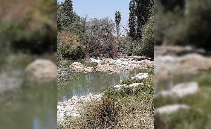 Sakarya nehir yatağı kuruyunca çiftçilere 5 gün sulama yasağı getirildi