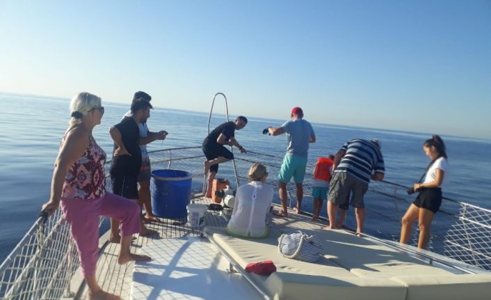 Tekne turu sırasında oltaya takılan 3 metrelik köpek balığı turistleri şoke etti