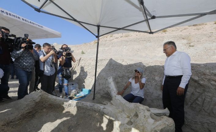 7,5 milyon yıl önce filler ve zürafaların olduğu Kayseri’nin tarihi yeniden yazılacak