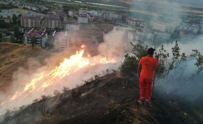 Bingöl’de 5 dönümlük alan yandı