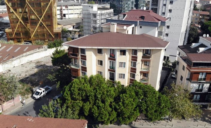 Camı kırılan dükkan, bina sakinlerini korkuttu