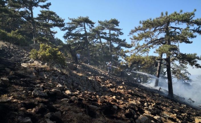 Eskişehir’de orman yangını