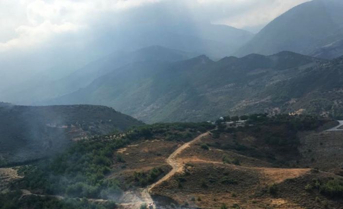 Hatay’da orman yangını