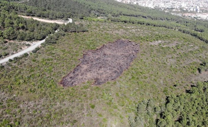 (Özel) Aydos Ormanı’nda kundaklama sonucunda yanan ormanlık alandaki tahribat havadan görüntülendi