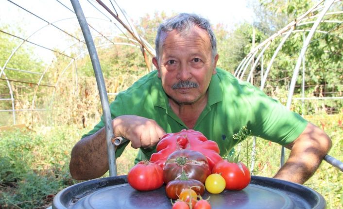 (Özel) Bir buçuk dönüm alanda bin bir çeşit ürün yetiştiriyor
