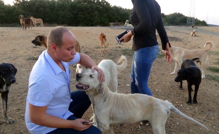 (ÖZEL) Çatalca’da köpeklerin ormana terk edilmesine hayvanseverlerden tepki