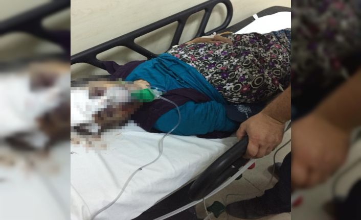 (Özel) Esenyurt’ta otomobilin çarptığı yaşlı kadın hastanede yaşam mücadelesi veriyor