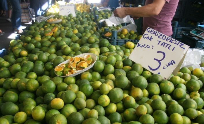 Pazarda domates 2, salatalık 1.5, taze fasulye 6 liradan alıcı buluyor