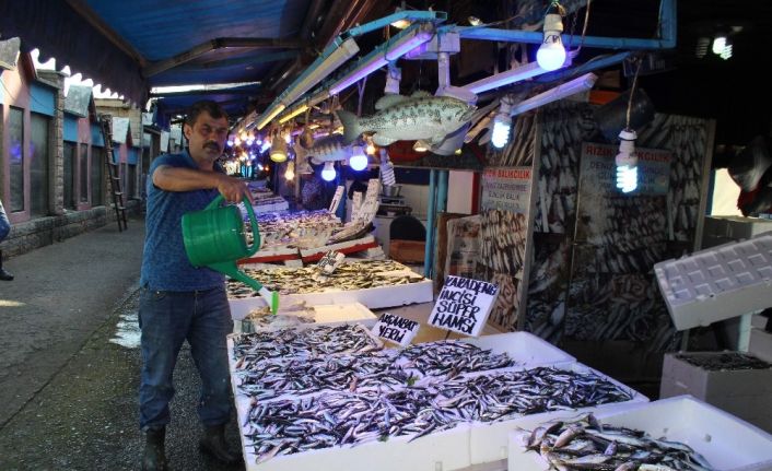 Sezon başından beri ilk kez bol avlanan hamsi tezgahları süslemeye başladı