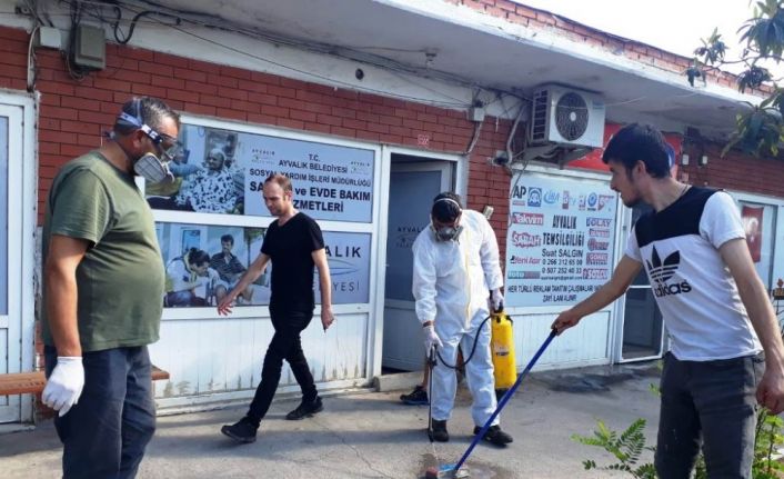 Sokak hayvanlarından yayılan keneler Eski Garaj’ı bastı imdada Ayvalık Belediyesi yetişti