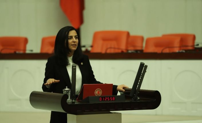 AK Partili Vekil Durgut: ”Yahya Kemal’i anlamak için elimize sözlük alıyoruz”