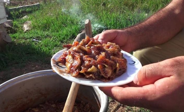 Antalya’da ‘bestel’ sezonu açıldı